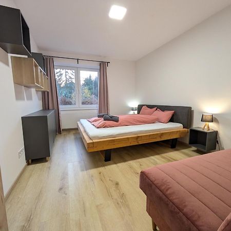 Apartman Stelvio Janske Lazne Εξωτερικό φωτογραφία